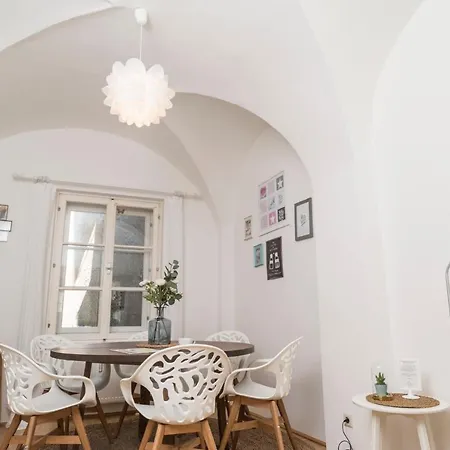 Cozy Kunsthaus 公寓 格拉茨